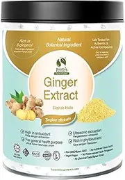 BIONUTRICIA EXTRACT Ginger (Zingiber officinale) standardized Extract Powder 100g, Natural Asian Gourmet Standardized Fresh Beverage or Bakery Ingredient, Natural Flavor, Natural Color
