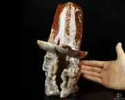 8.9" Red Crazy Lace Agate Geode Carved Crystal Skull Sculpture, Crystal Healing