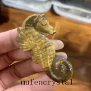2" Natural Tiger's eye Flying dragonCarved Quartz Crystal Skull Healing 1pc