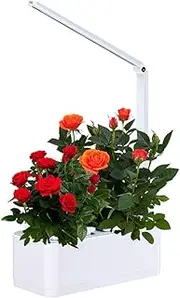 Hydroponics Growing System LED Grow Light Indoor Herb Garden Starter Kit Plant Germination Kits 2 Plant Pots for Marijuana Tomatoes Cannabis Vegetables