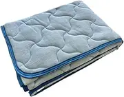 Tadashi Itosho PT4700-10BL Cotton Sinker Pile Color Bed Pad, Blue, 39.4 x 80.7 inches (100 x 205 cm)