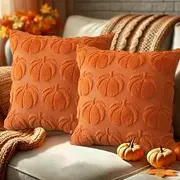 Fall Throw Pillow Covers, Set of 2 Soft Plush Faux Fur Decorative Fall Decor Accent Cushion Couch Cover, Sofa, Bedroom, and Farmhouse Home Decor (Orange Pumpkin, 18" X 18" (Pack of 2))