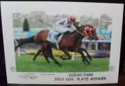 OCEAN PARK 2012 Cox Plate signed Print