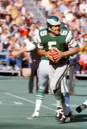 Quarterback Roman Gabriel Philadelphia Eagles drops back to pass - 1974 Photo 12