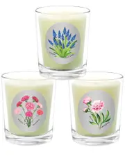 Qualitas Candles 3pc Candle Set - Hyacinth, Peony, & Dianthus