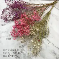 在飛比找松果購物優惠-進口乾燥天然滿天星-乾燥花圈 乾燥花束 不凋花 拍照道具 手