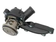Thermostat For 05-09 Audi A6 Quattro A4 3.2L V6 DH82Q3 (for: Audi)