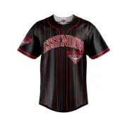Essendon Bombers AFL Baseball Jersey Slugger T Shirt Sizes S-5XL!