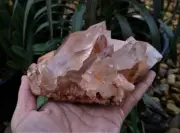 Pink Quartz Rare Natural Cluster Crystal /Mineral 160x130mm,