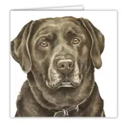 WaggyDogz Blank Greeting Card-Labrador chocolate Sold as a Set/2 identical cards