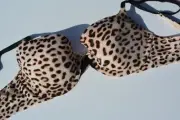 New Victoria Secret Bra Lined Demi 32D Leopard Animal Print Lace Sexy Bow $48