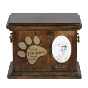 Himalayan Cat wooden urn for a cat Art-Dog
