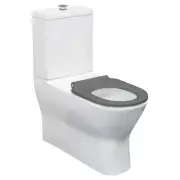 800*365*875mm Fienza Delta Care Grey/White/Black/Blue Seat Back To Wall Toilet