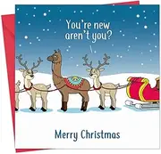 Twizler Merry Christmas Card with Llama Confusion - Funny Christmas Card - Xmas Card - Happy Christmas Card - Womens Christmas Card - Mens Christmas Card - Male Christmas Card - Female Christmas Card