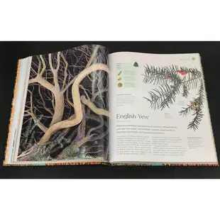 The Tree Book: The Stories, Science, and History of Trees