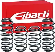 [Eibach] E10-20-031-04-22 Performance Pro-Kit Springs