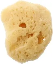 TEHAUX Natural Sea Sponges for Art Watercolor Painting Sponges Texture 12 Pack for Craft and Drawing