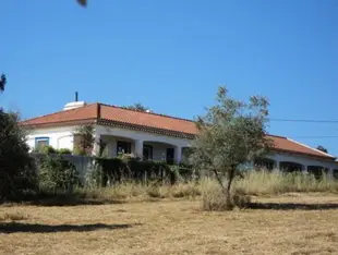 Attached quaint Farmhouse in Montemor-o-Novo with Swimming Pool