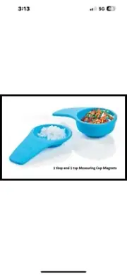 Tupperware Measuring Spoons Teaspoon and Tablespoon Magnets Light Blue