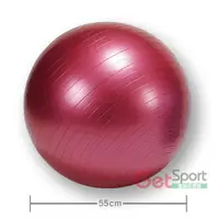在飛比找蝦皮商城優惠-防爆瑜珈球55cm(瑜伽球/55公分韻律球/抗力球/充氣球/