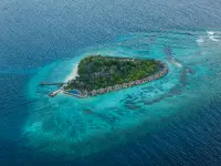 在飛比找雄獅旅遊優惠-馬爾地夫塔赫珊瑚礁渡假村及水療中心