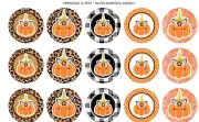 Bottle Cap images, necklace images, 1in circle images, Fall Unicorn Pumpkins