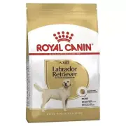Royal Canin Labrador Retriever Puppy Premium 12 Kg Dry Dog Food