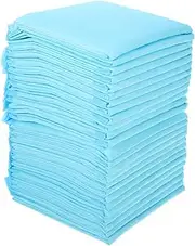Kisangel 1set Super Absorbent and Waterproof Dog and Puppy Pet Training Mats 100 Pieces Air Dog Heating Pad Dog Pee Pad Dispenser Indestructible Device Pooper Nappies Dogs Non-Woven 50pcs