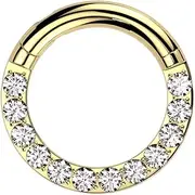 [Pierced Owl] 12GA-00GA Large Gauge CZ Crystal Lined F136 Implant Grade Titanium Hinged Segment Clicker Ring