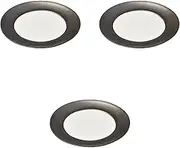 Set of 3, Iron Kannon Rim 9 Inch Plate, 11.2 x 1.0 inches (28.5 x 2.6 cm) | Setomonohonpo