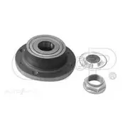GSP Wheel Hub Assembly - 232032K