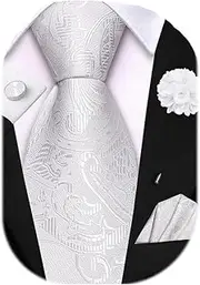 [Dubulle] Zipper Ties for Men Mens Paisley Striped Pretied Neckties and Lapel Pin Pocket Square Cufflinks Adjustable