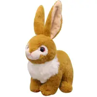 在飛比找蝦皮購物優惠-茗軒【玩偶】兔子公仔毛絨玩具韓國萌布娃娃可愛玩偶睡覺抱枕女孩