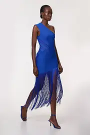 Figure Form Bandage Knit Tassel Sheer Dress