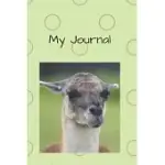 MY JOURNAL