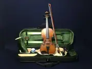 Symphony 1/4 Size Solid Wood Violin Outfit w/Ebony Fittings,Matt Brown |SJV 01A|