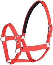 Horse Riding Competition Equipment Training Rope Horse Head Collar Adjustable Horse Riding Safety Triangle Belt Equestrian Equipment