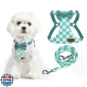 PUPTECK Dog Harness and Leash Set Small Sized, Step-in Cute Puppy Harness, So