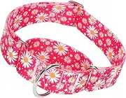 Martingale Dog Collar for Large/X-Large Dogs - Heavy Duty 1.5" Military Grade Nylon Collar with Red Daisy Floral Design, No-Slip Adjustable Training Collar Durable & Stylish (M)