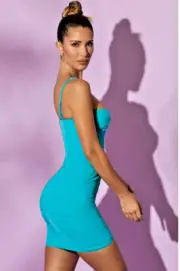 Allison & Kelly Oatman Corset Slim Mini DressTeal NWT Small