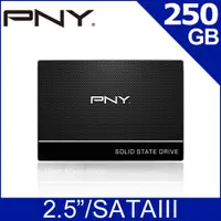 在飛比找PChome24h購物優惠-PNY CS900 250GB 2.5吋 SATA SSD