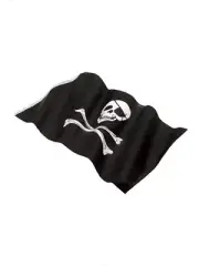 Pirates Flag Adults Fancy Dress Costume Pop Skull & Cross Bones Pirate Flag