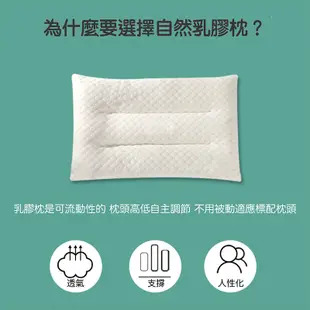 【泰國純天然100%乳膠枕胎】枕胎 乳膠枕 按摩枕 枕頭 飯店枕 記憶枕 防螨枕 紓壓枕 護頸枕