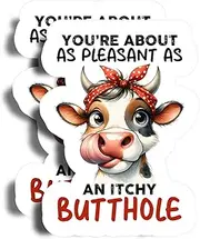 You're About As Pleasant As an Itchy Butthole Magnets - 5" On Longest Side - Cute Cow Horns - 2 Pack - Thick Strong Magnet - Bumper Magnets for Fridge, Toolbox, Cars - Made in USA - PLDFMAG0604