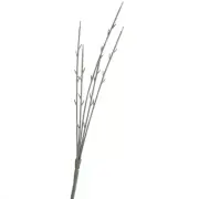 Green Bare Artificial Plastic Stems
