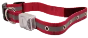 Flashing Dog Collar - Dog e Lites - L/XL