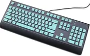 Keyboard Cover Skin for Lenovo Preferred Pro II/Lenovo Preferred Pro USB Wired Keyboard 4X30M86879 41A5289 SK-8825 54Y9400 KB1021 73p5220, Lenovo Preferred Pro Skin Accessories-Mint