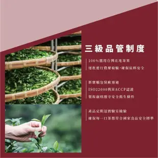 【新寶順】台灣冷泡茶包_快速冷泡新鮮喝(紅玉紅茶/四季春青茶/四季春熟茶)