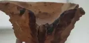 Hand Carved Wooden Bowl With Live Edge. Stunning, one of a kind, approx. 11x10x4