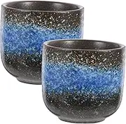 BIUDECO 2Pcs Japanese Style Retro Tea Cup Teacups for Tea Lovers Convenient Household Teaware Smooth Surface and Office Use